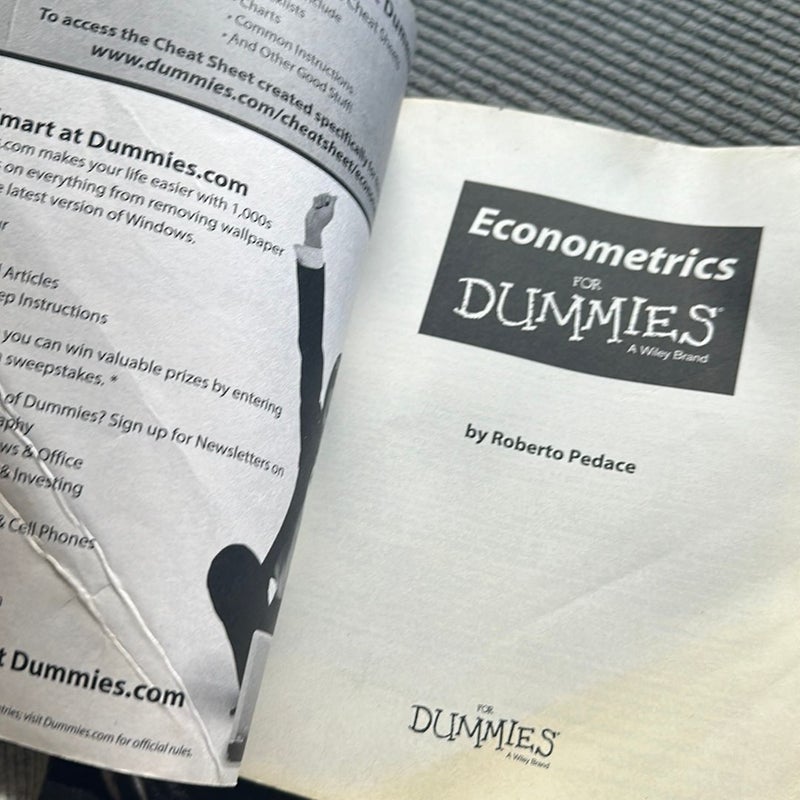 Econometrics for Dummies by Roberto Pedace, Paperback Pangobooks