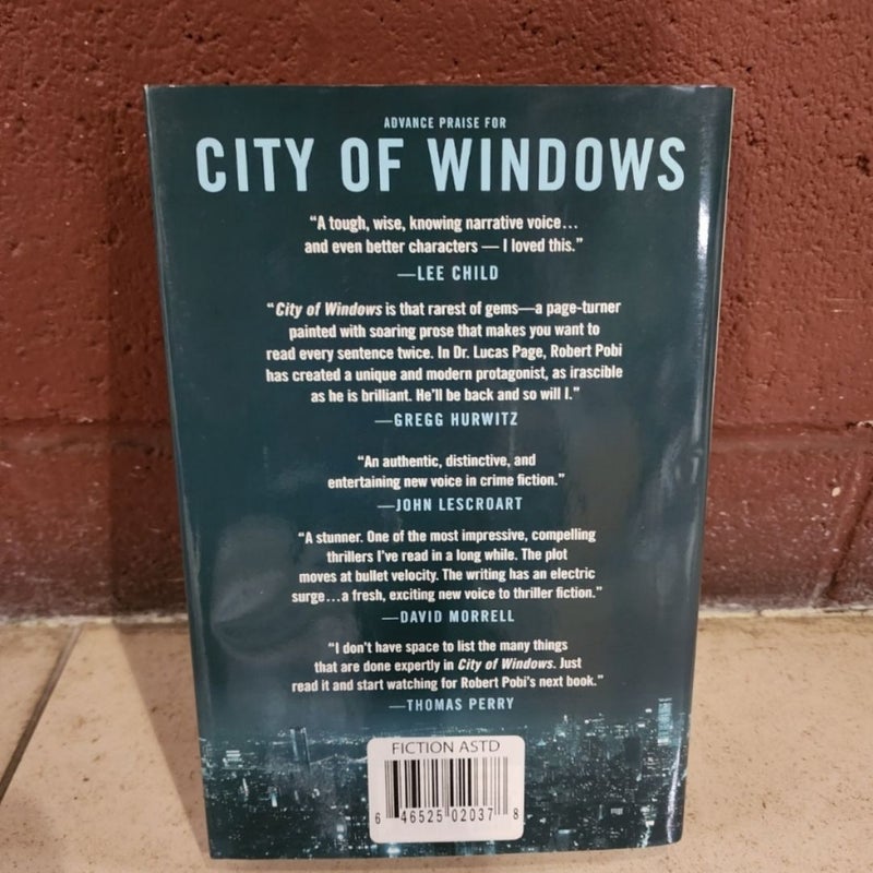 City of Windows By Robert Pobi Hardcover 2019 First Edition