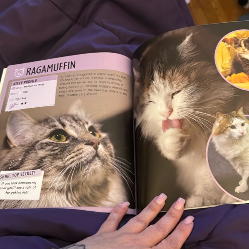 Kitty Secrets