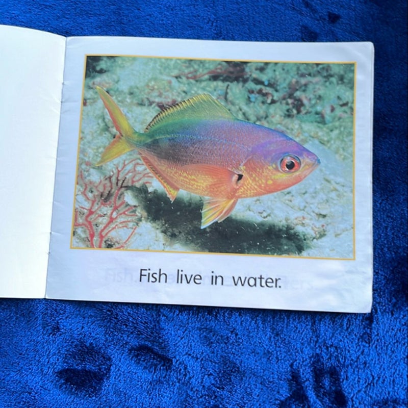 Fish Live in Water