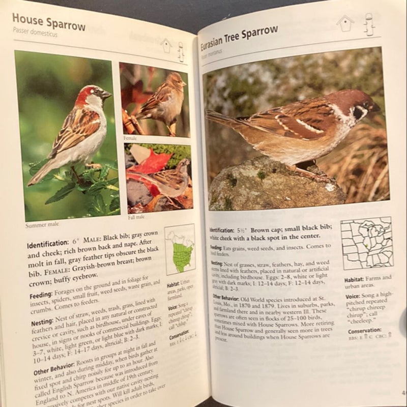 Stokes Field Guide to Birds