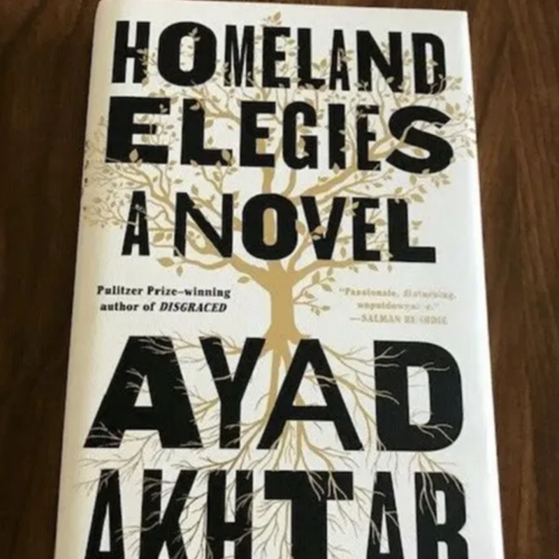 Homeland Elegies by Ayad Akhtar 