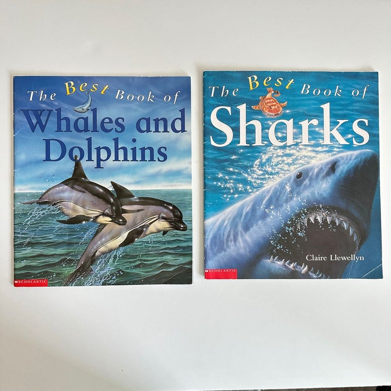 Whales, Dolphins, and Sharks book bundle, 2 books