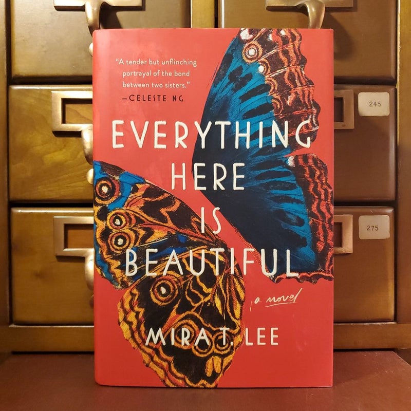 Everything Here Is Beautiful