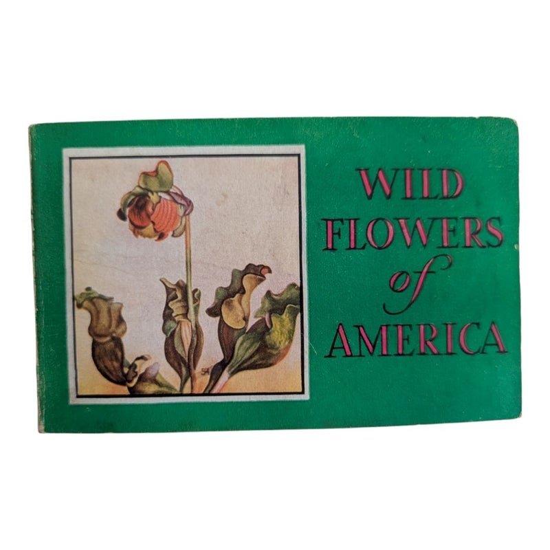 Wild Flowers of America 