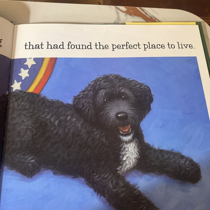 First Dog's White House Christmas