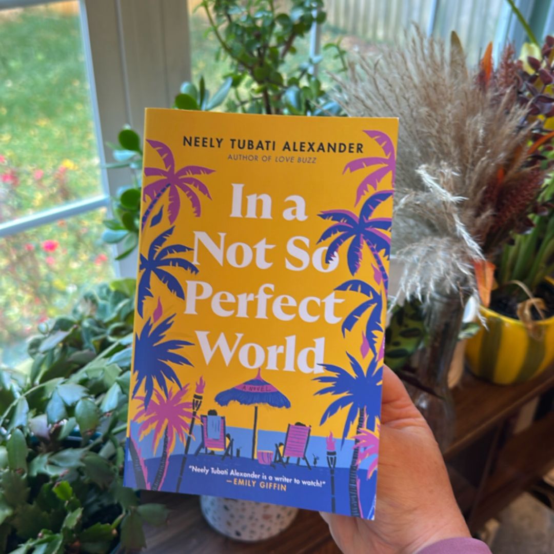 In a Not So Perfect World