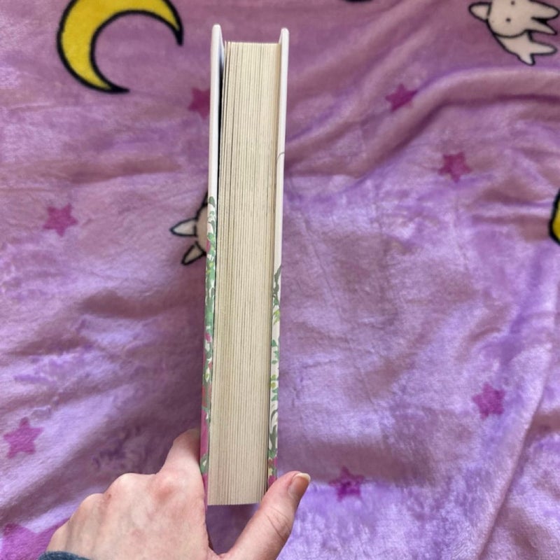 A Fragile Enchantment (Barnes and Noble YA Book Club Edition)