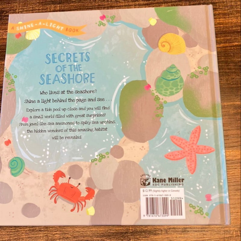 Secrets of the Seashore