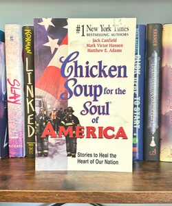 🔶Chicken Soup for the Soul of America