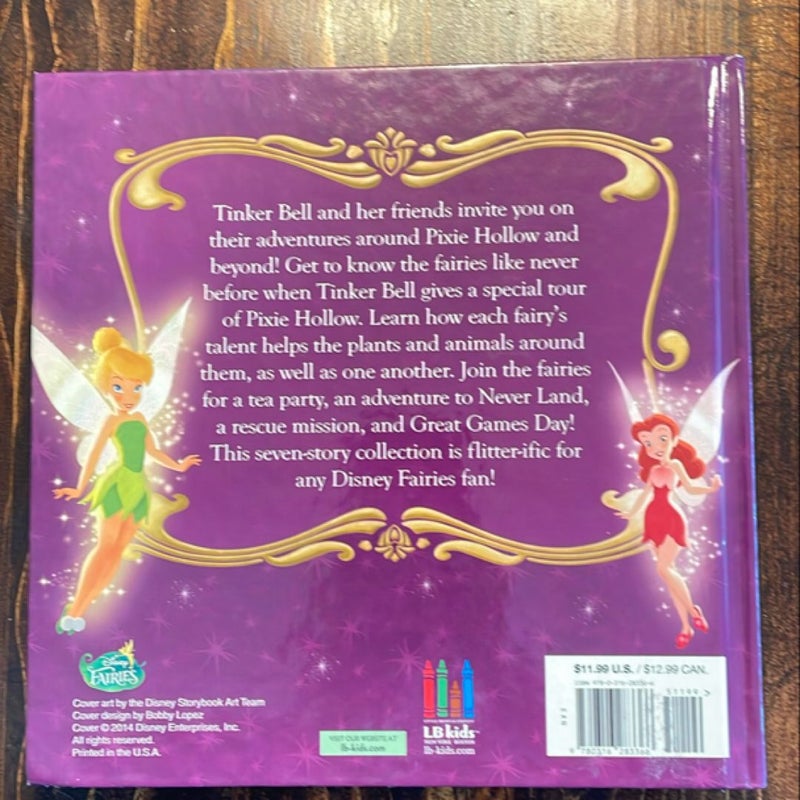 Disney Fairies: Tink and Friends Story Collection