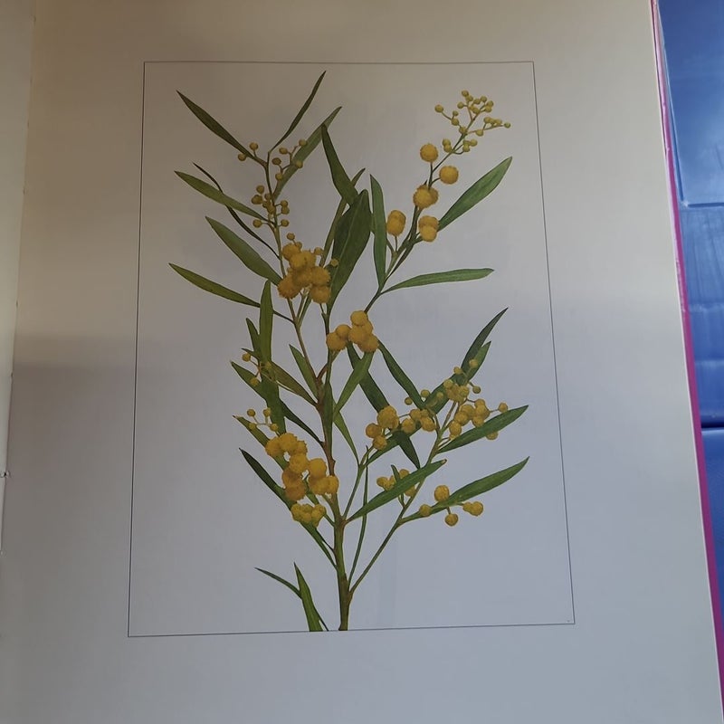 A Book of Flowers
