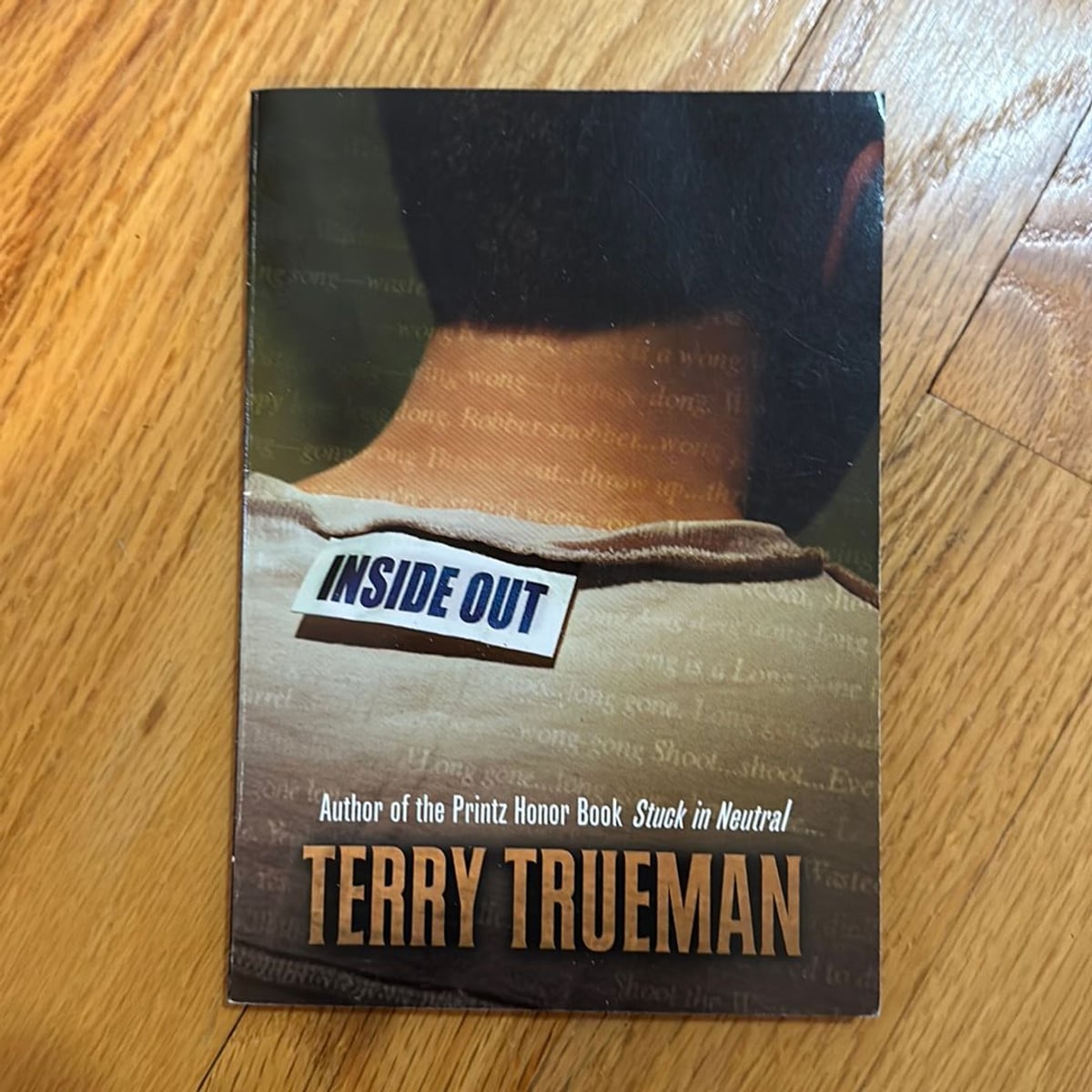 Inside Out by Terry Trueman, Paperback | Pangobooks