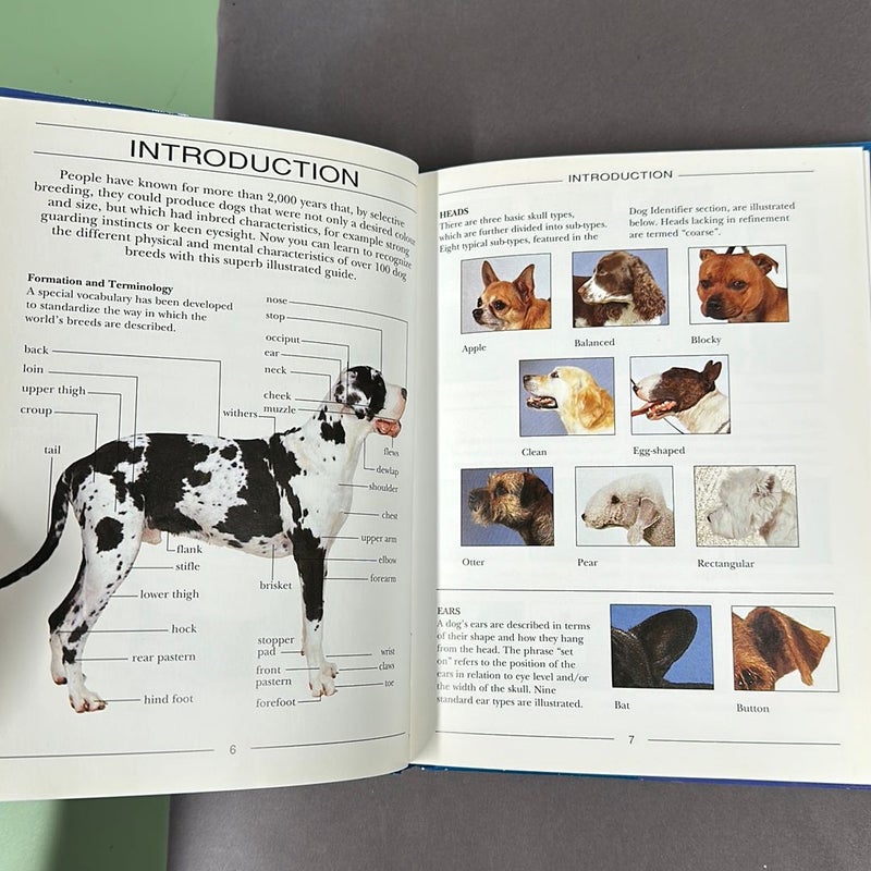Identifying Guide to Dog Breeds