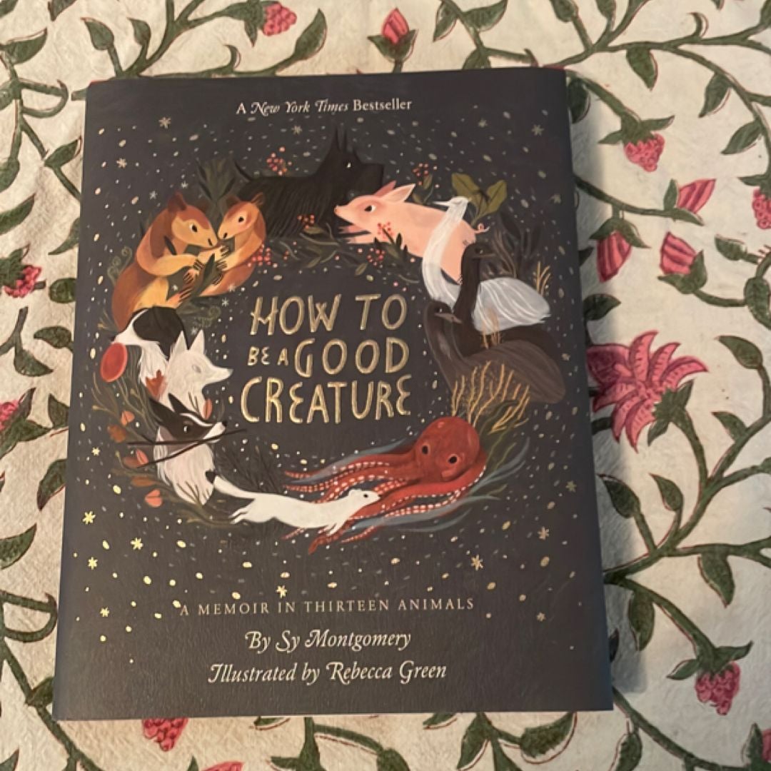 Sale image for 6698bc97-3811-4bbd-b1d3-8639402bbc1c-p1QRYxLRAGN8celrRtDa2nV4mAL2