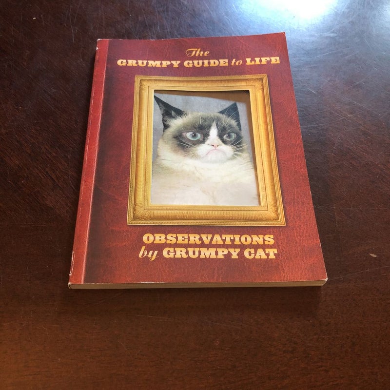the grumpy guide to life observations by grumpy cat