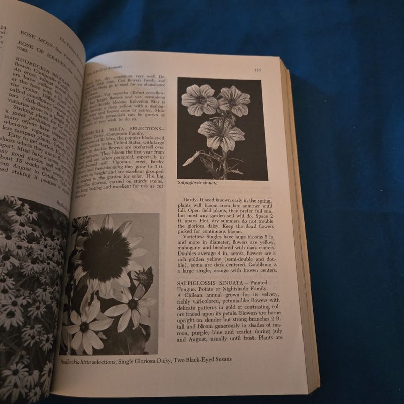 The picture of annuals 