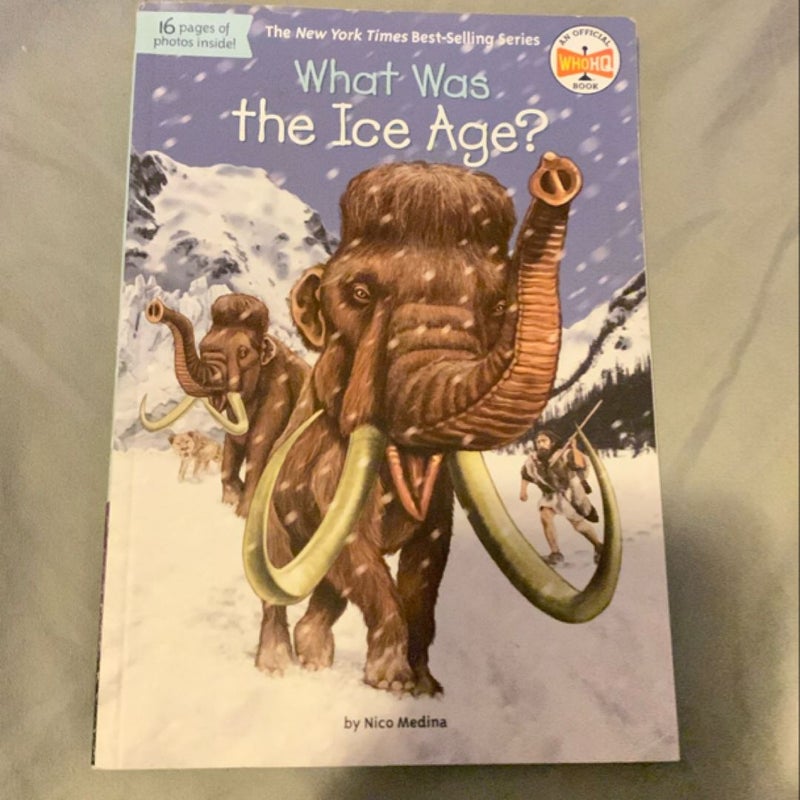 What Was the Ice Age?