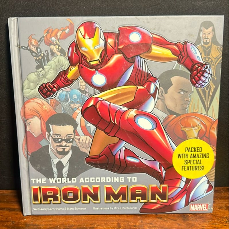 The World According to Iron Man