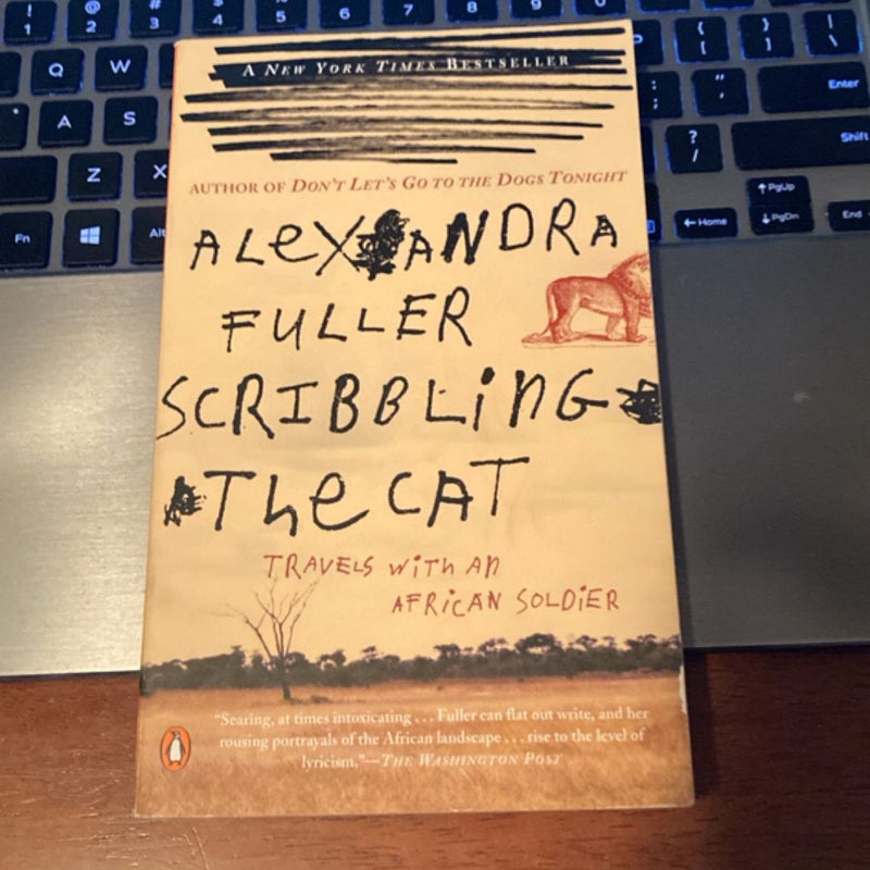 Scribbling the Cat