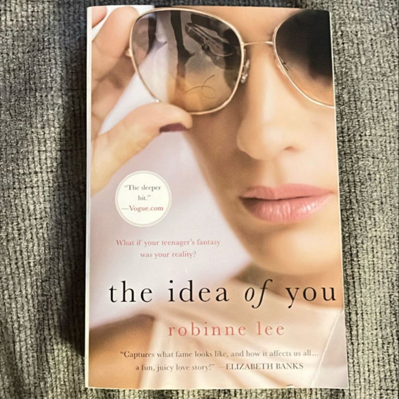 The Idea of You