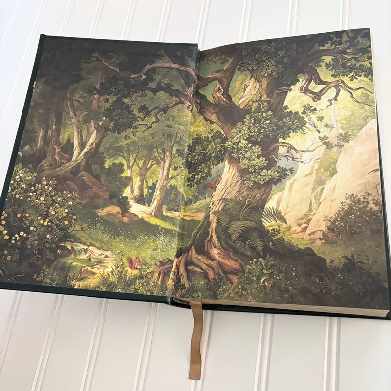 Hardback Grimm's Complete Fairy Tales by The Brothers Grimm