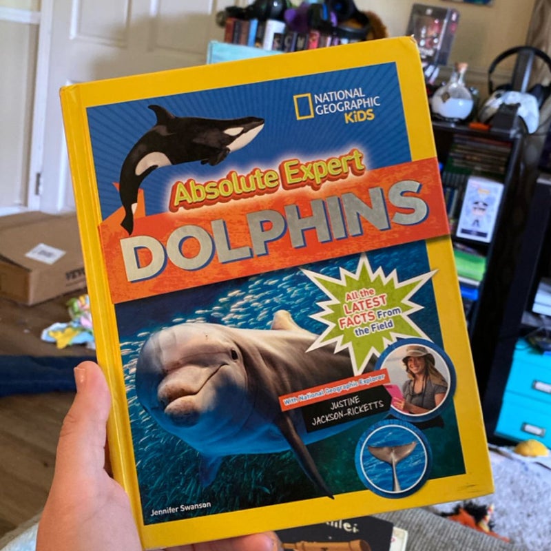 Absolute Expert: Dolphins