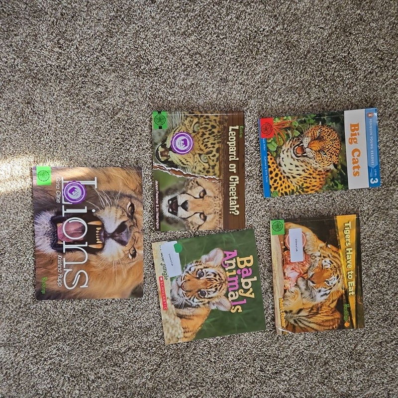Big Cats Learning Bundle 