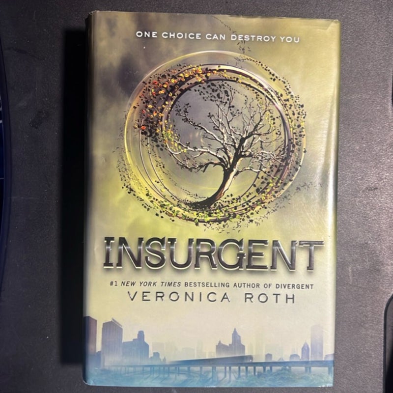 Divergent Series 