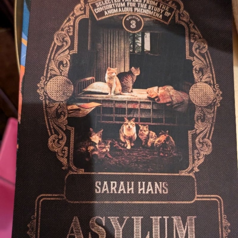 Asylum