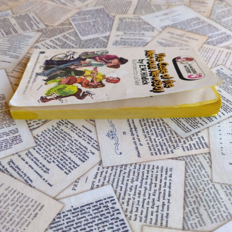A McGurk Mystery #3: The Case of the Nervous Newsboy