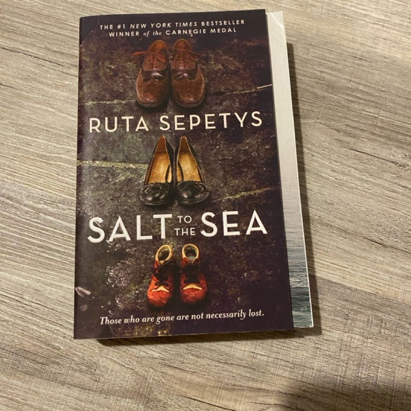 Salt to the Sea