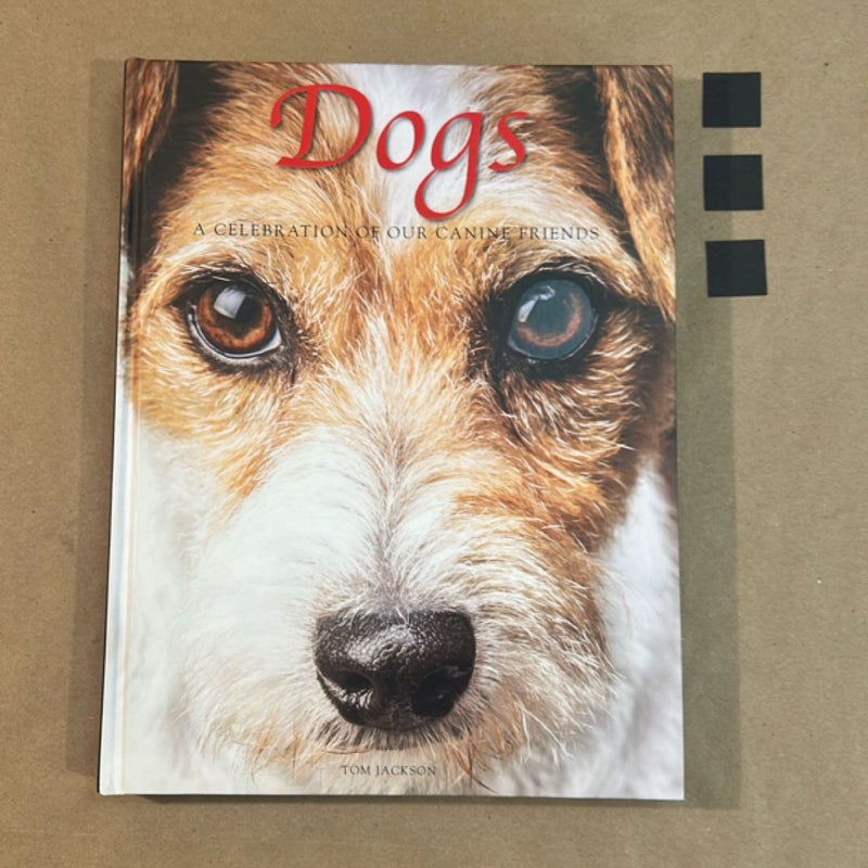Dogs