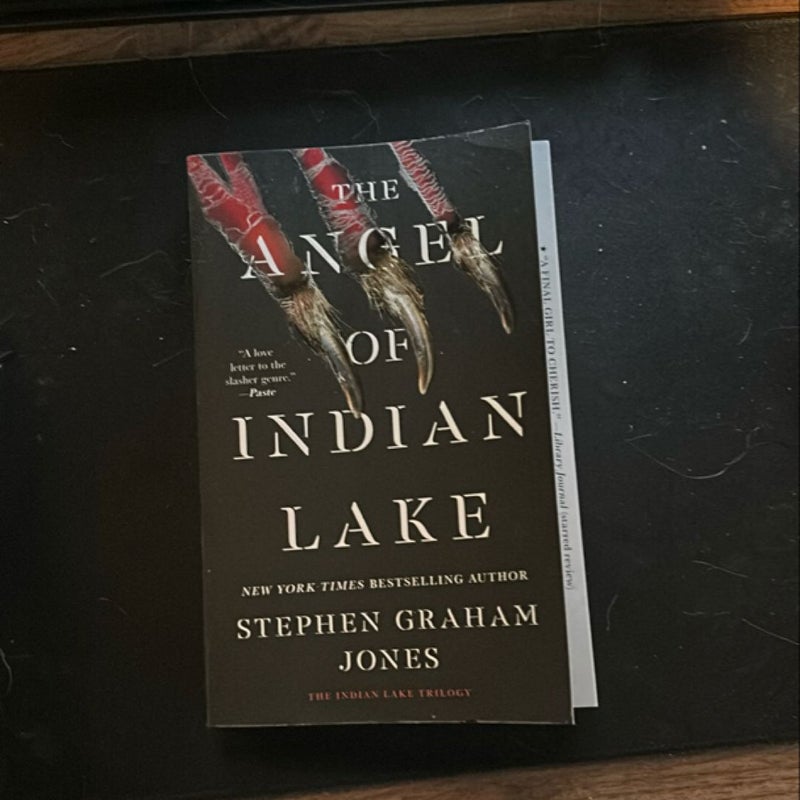 The Angel of Indian Lake