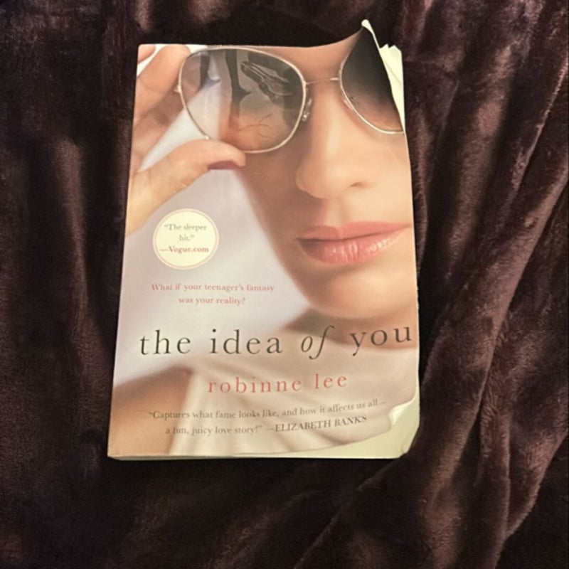 The Idea of You