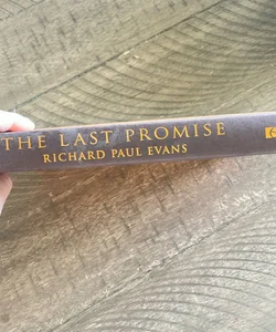 The last Promise 