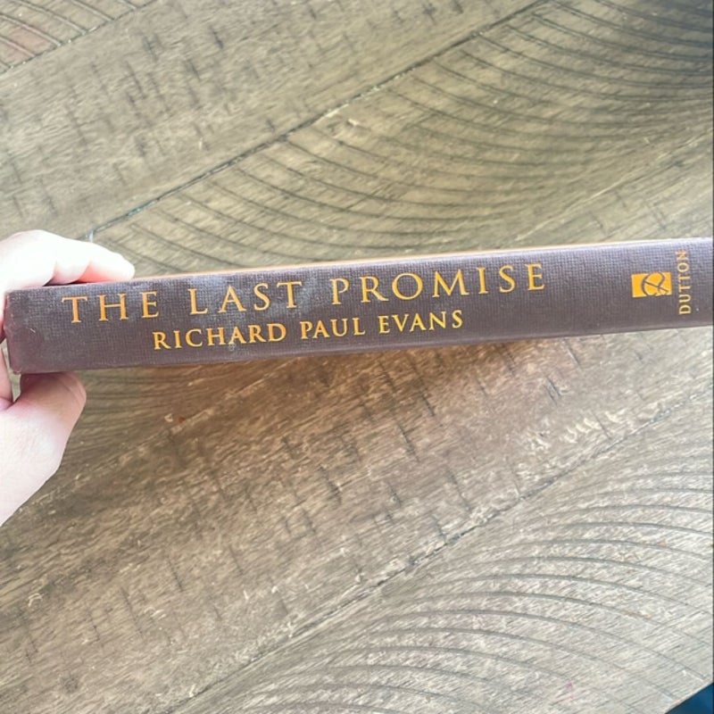 The last Promise 