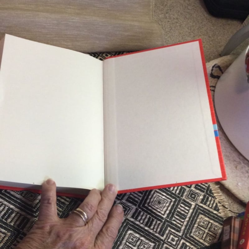 The Misadventures of Max Crumbly 3