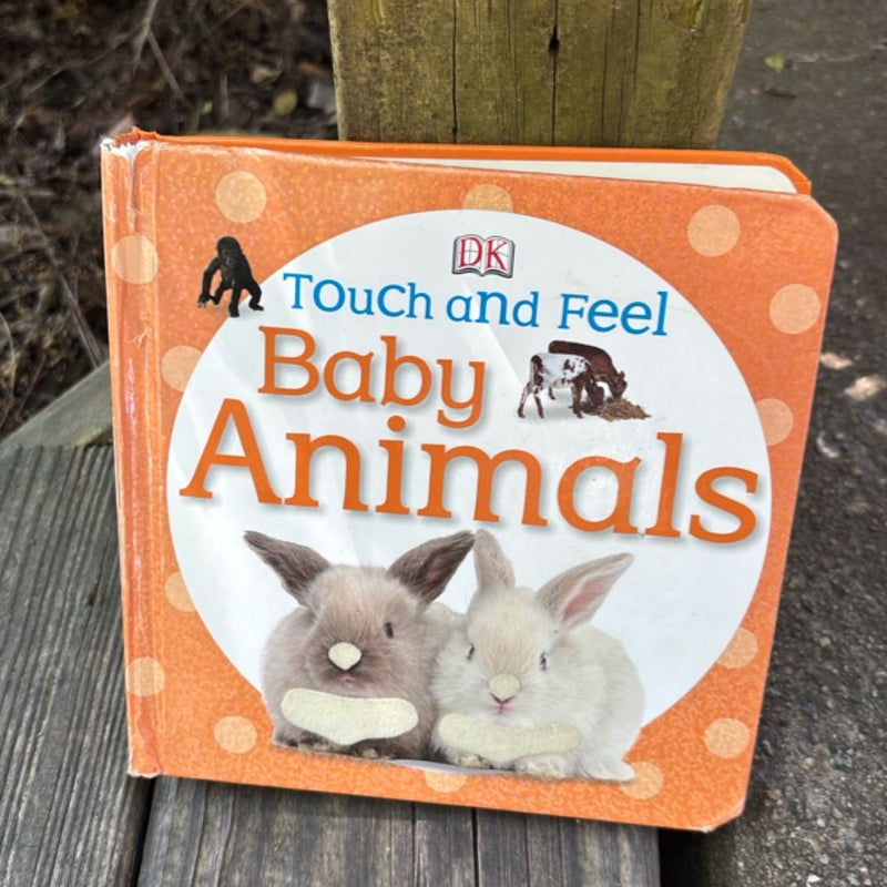 Touch and Feel Baby Animals
