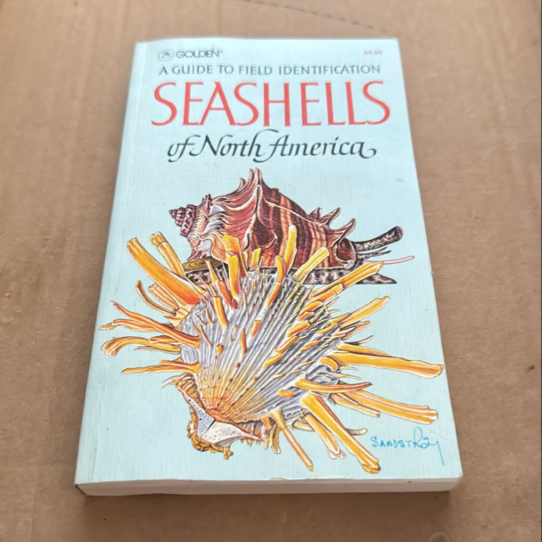 Seashells of North America 53