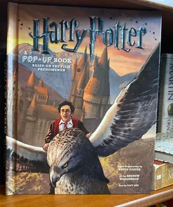 Harry Potter: a Pop-Up Book