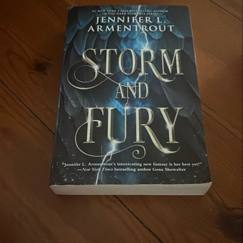 Storm and Fury