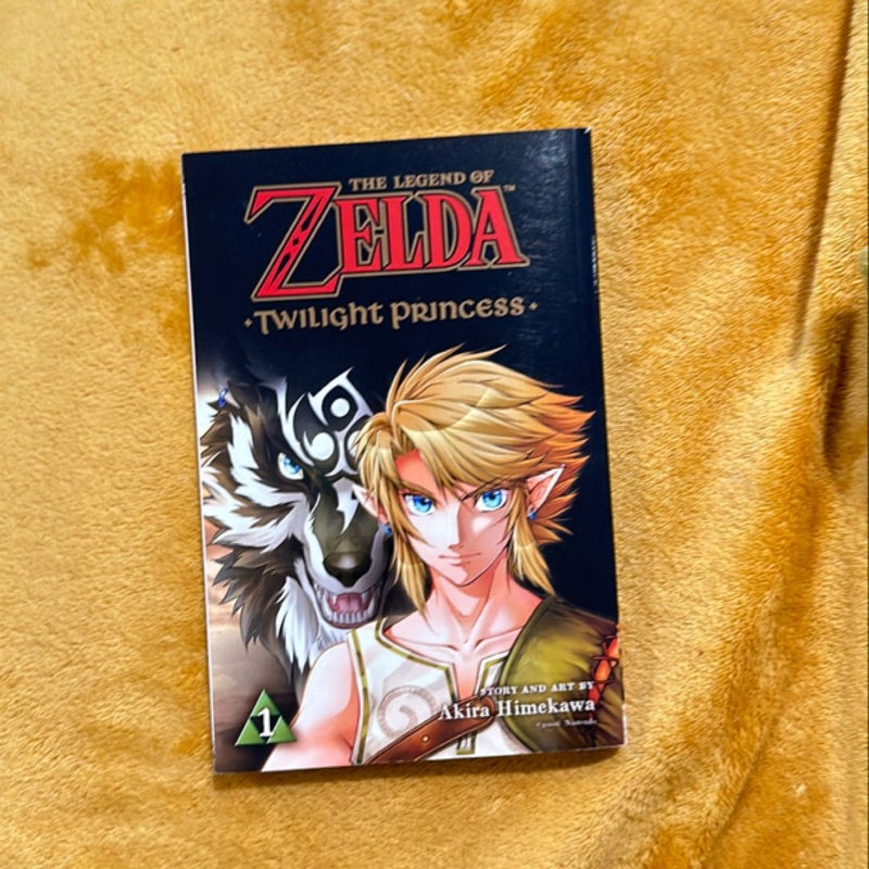 The Legend of Zelda: Twilight Princess, Vol. 1