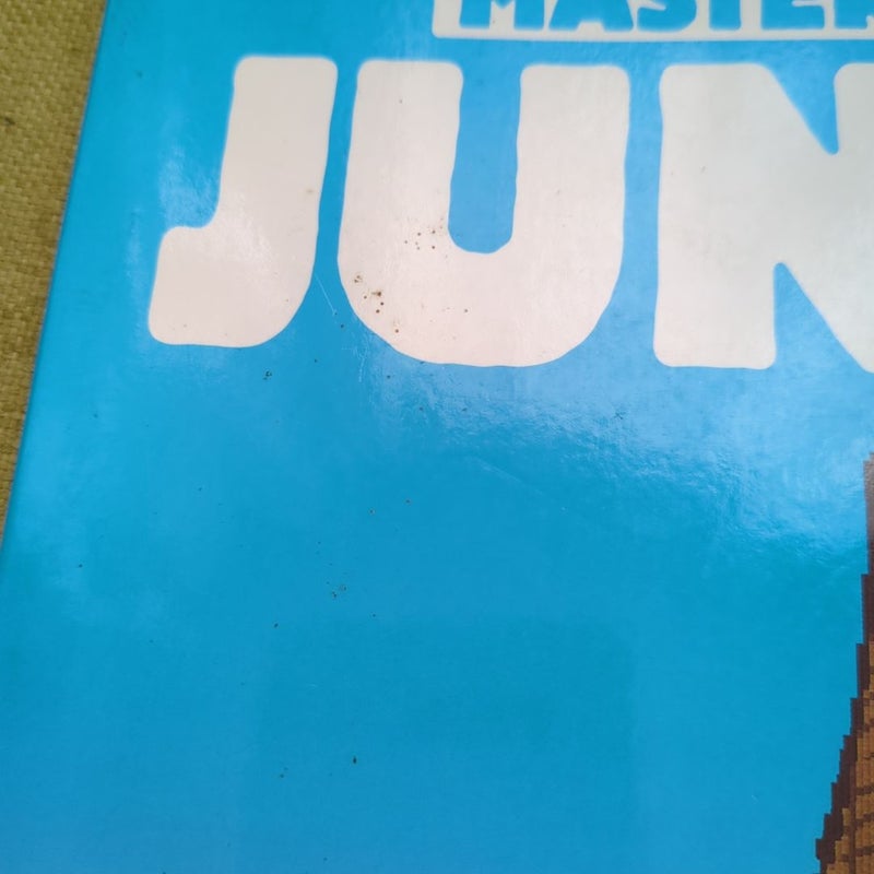 Minecraft Secrets: Master Builder Junior