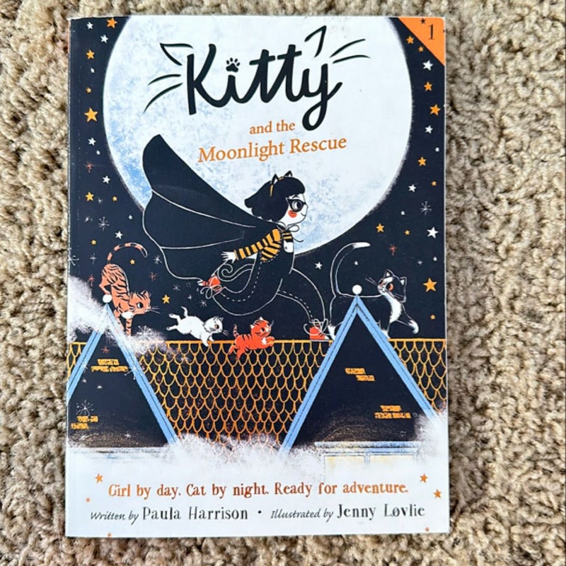 Kitty and the Moonlight Rescue