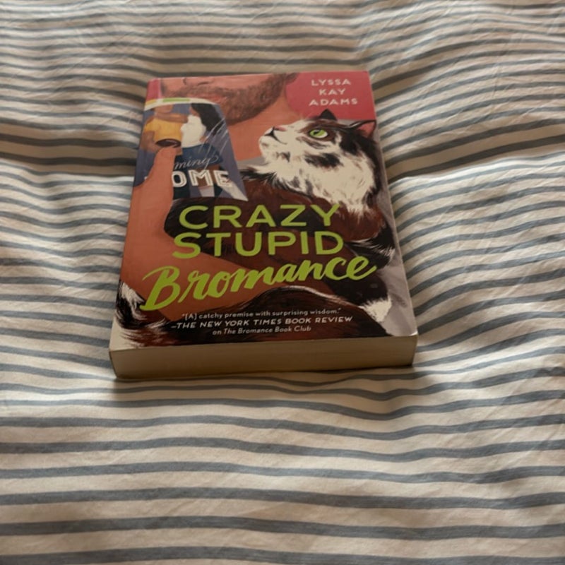 Crazy Stupid Bromance