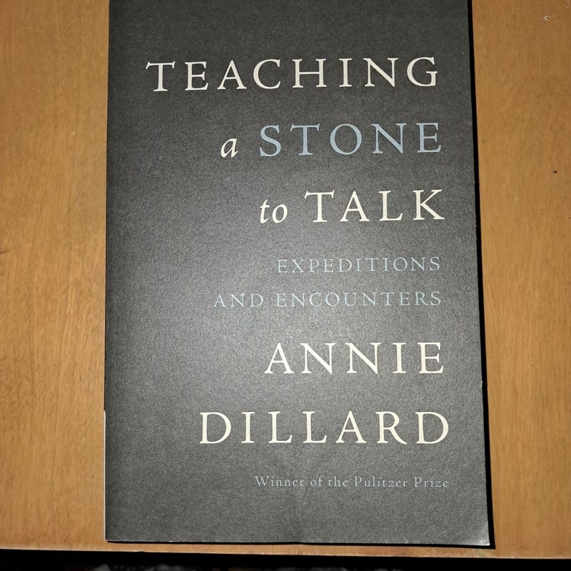 Teaching a Stone to Talk