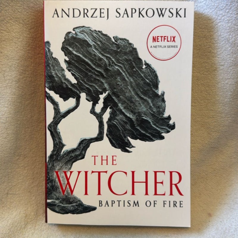 The Witcher Series (books 1-5)