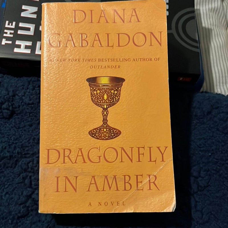 Dragonfly in Amber