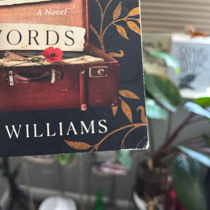 The Dictionary of Lost Words